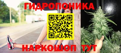 гашик Севастополь