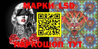apvp Свободный