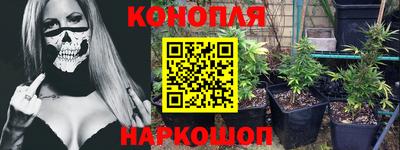 гашик Севастополь